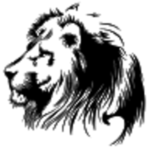 gustafagraphics